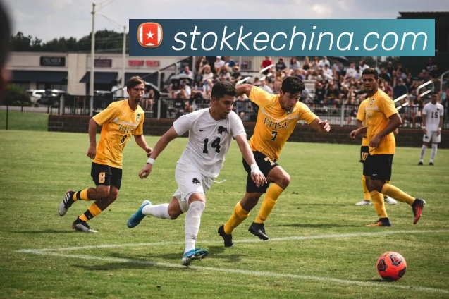 欧宝官网下载手机版(中国)有限公司 - 官网APP 封面图